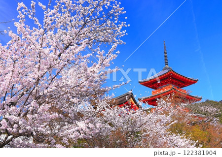 【京都府】満開の桜と清水寺の三重塔 【京都府】満開の桜と清水寺の三重塔 122381904