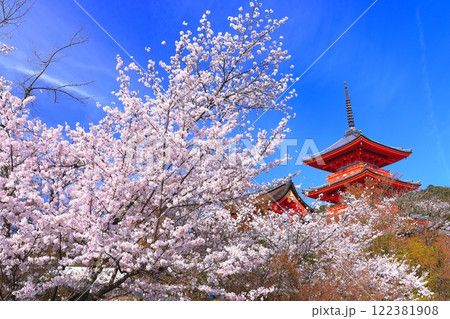【京都府】満開の桜と清水寺の三重塔 122381908