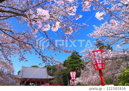 【京都府】桜が満開の醍醐寺(金堂) 【京都府】桜が満開の醍醐寺(金堂) 122381916