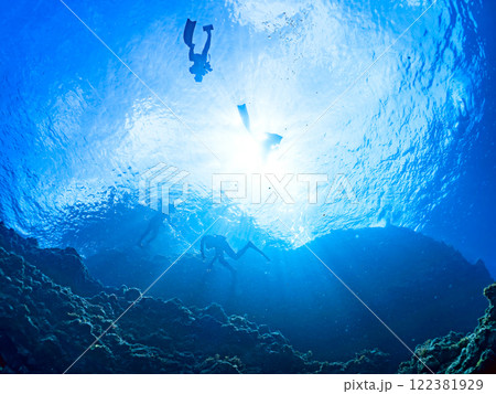 巨大なオオモンカエルアンコウと観察するスキンダイバーたち。 静岡県伊豆半島賀茂郡南伊豆町中木ヒリゾ浜 巨大なオオモンカエルアンコウと観察するスキンダイバーたち。 静岡県伊豆半島賀茂郡南伊豆町中木ヒリゾ浜 122381929