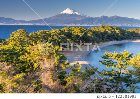 《静岡県》富士山と御浜岬の松原 122381993