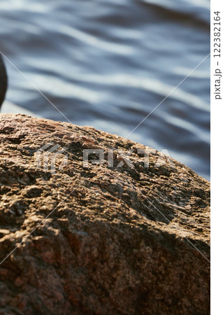 An Extremely CloseUp View of a Beautifully Textured Rock Beside Calm and Gentle Water An Extremely CloseUp View of a Beautifully Textured Rock Beside Calm and Gentle Water 122382164