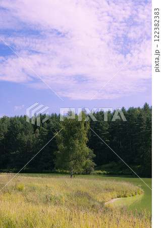Picturesque view of forest lake with clear water surface reflecting green trees and blue sky. The shore is covered with dense coniferous and deciduous trees. Film photography effect and grunge effect. Picturesque view of forest lake with clear water surface reflecting green trees and blue sky. The shore is covered with dense coniferous and deciduous trees. Film photography effect and grunge effect. 122382383