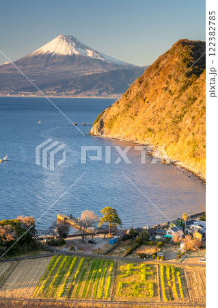《静岡県》井田煌めきの丘から眺める富士山 122382785