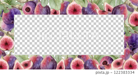 Long figs fruits watercolor banner frame isolated on white. Hand drawn illustration or horizontal label template with copy space for text. Summer vegan tropical food clip art Long figs fruits watercolor banner frame isolated on white. Hand drawn illustration or horizontal label template with copy space for text. Summer vegan tropical food clip art 122383334