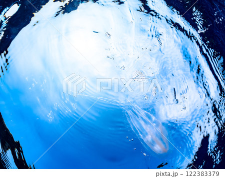 水面を漂う、不思議なカブトクラゲ（カブトクラゲ科）。 静岡県伊豆半島賀茂郡南伊豆町中木ヒリゾ浜 122383379