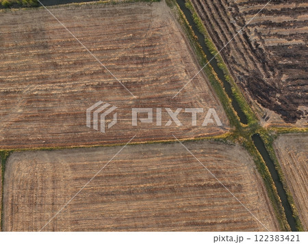 Green rice Fileds aerial view Thailand countryside Green rice Fileds aerial view Thailand countryside 122383421