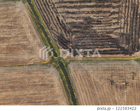 Green rice Fileds aerial view Thailand countryside Green rice Fileds aerial view Thailand countryside 122383422