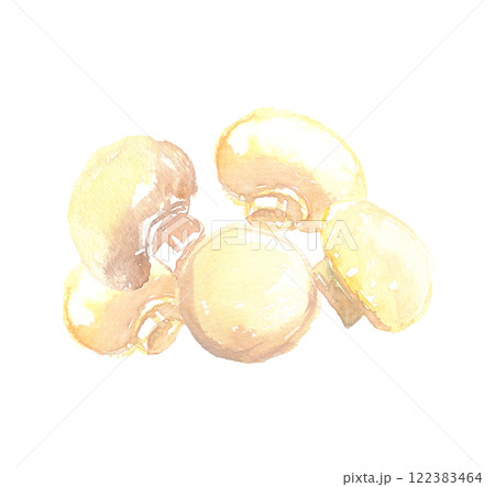マッシュルームの水彩イラスト 122383464