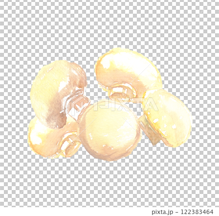 マッシュルームの水彩イラスト 122383464