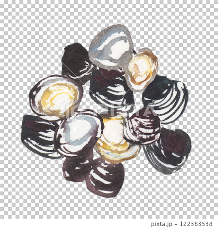 シジミの水彩イラスト 122383538