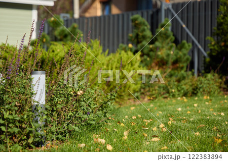 A Vibrant and Beautiful Backyard Landscape Adorned with Lush Greenery and Colorful Fall Leaves 122383894