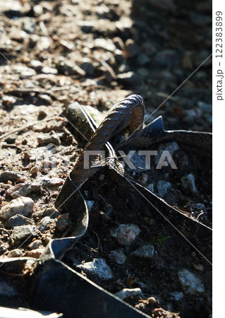 A Rusty Nail is Deeply Embedded in the Ground Amidst the Natural Landscape Around It 122383899