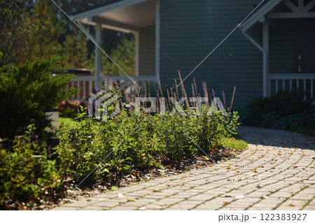 A Charming and Inviting Garden Pathway That Gracefully Leads to a Cozy and Welcoming Home A Charming and Inviting Garden Pathway That Gracefully Leads to a Cozy and Welcoming Home 122383927
