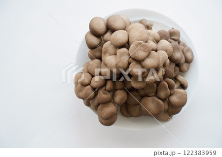 霜降りひらたけ - 3:2 霜降りひらたけ - 3:2 122383959