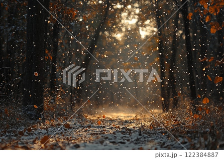 Winter forest landscape with snow falling...のイラスト素材 [122384887] - PIXTA
