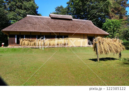 稲架掛けと茅葺屋根の農家(母屋) 122385122