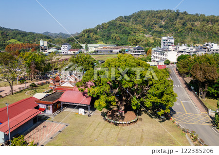 Huge Camphor tree located at Jiji Township in Nantou County, Taiwan 122385206