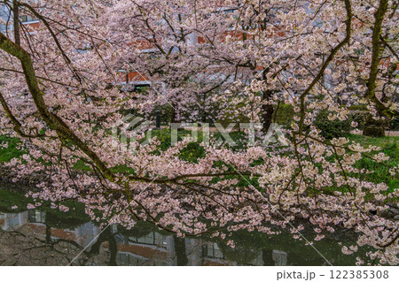 (とやまビューポイント)　富山城　松川べりの桜　4月 122385308