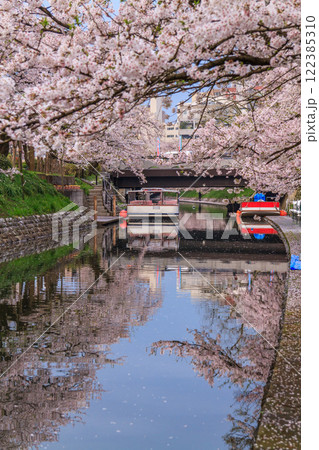 (とやまビューポイント)　富山城　松川べりの桜　4月 122385310