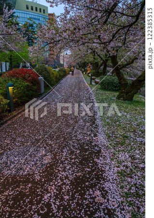 (とやまビューポイント)　富山城　松川べりの桜　4月 122385315