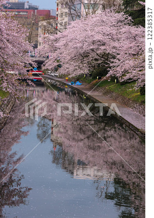 (とやまビューポイント)　富山城　松川べりの桜　4月 122385317