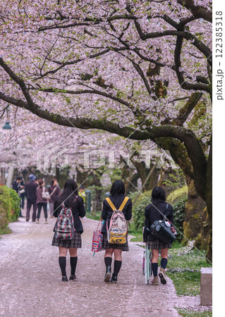 (とやまビューポイント)　富山城　松川べりの桜　4月 122385318