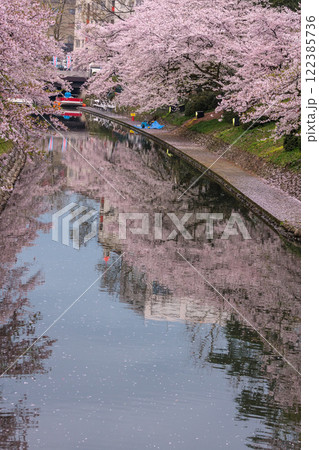 (とやまビューポイント)　富山県富山市　富山城　松川べりの桜　4月 122385736