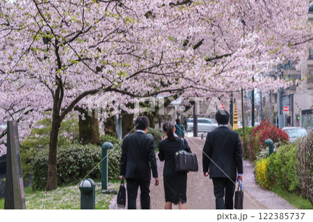 (とやまビューポイント)　富山県富山市　富山城　松川べりの桜　4月 122385737