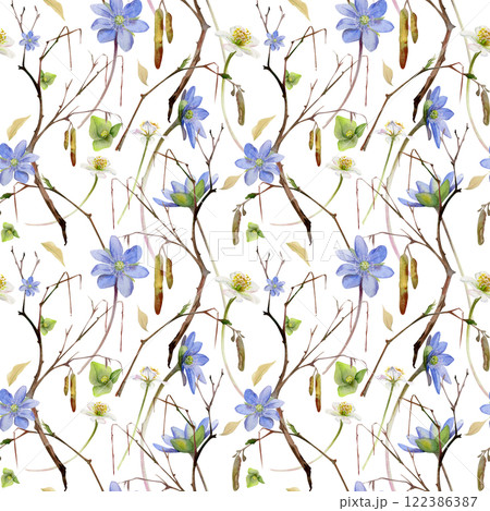 Branch with catkins, spring flowers white forest anemone primrose, blue hepatica forget-me-not, watercolor hand drawn. Seamless pattern botanical illustration isolated on white. Wedding, florist shop Branch with catkins, spring flowers white forest anemone primrose, blue hepatica forget-me-not, watercolor hand drawn. Seamless pattern botanical illustration isolated on white. Wedding, florist shop 122386387