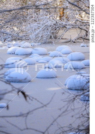 【雪帽子】凍結した沼【長野県】 122387304