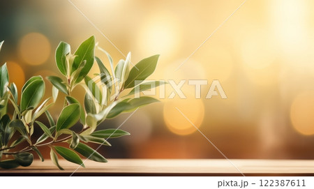 Close up of young olive tree with green leaves and copy space, blurred background 122387611