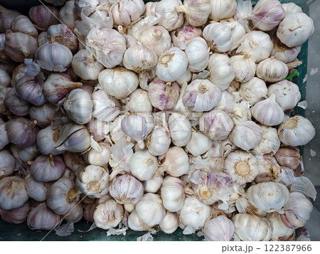 Fresh Garlic Bulbs Piled Together in a Market Basket Fresh Garlic Bulbs Piled Together in a Market Basket 122387966