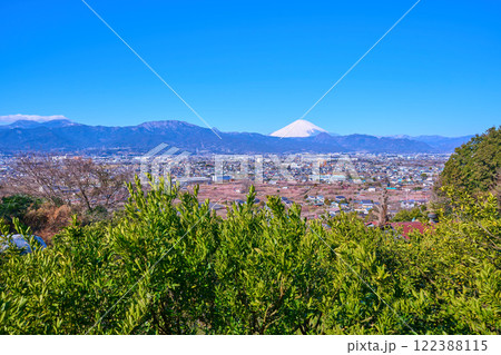 神奈川県小田原市 曽我別所等の眺望(小田原市,富士山,矢倉岳,曽我梅林など) 122388115