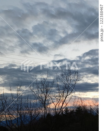 「幻想的な夕焼けとシルエットの木々 – 美しい空の風景」 122388467