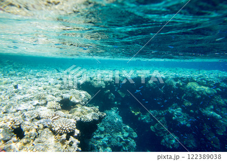 Tranquil underwater scene with copy space 122389038