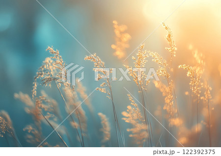 Meadow with wild flowers in the sunny summer day. Soft pastel background Meadow with wild flowers in the sunny summer day. Soft pastel background 122392375