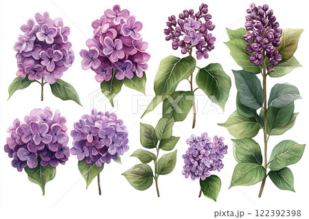 Spring lilac flowers 122392398