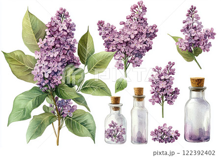 Spring lilac flowers Spring lilac flowers 122392402