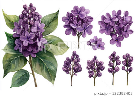 Spring lilac flowers Spring lilac flowers 122392403
