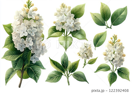 Spring lilac flowers Spring lilac flowers 122392408