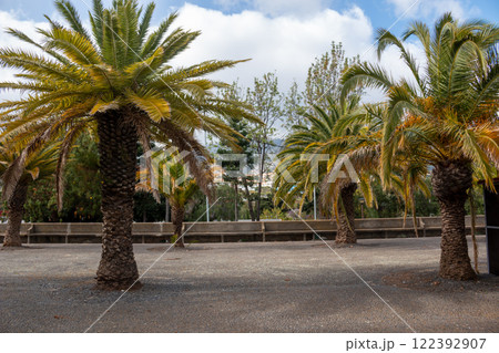 Park at St. Martin church, Funchal, Madeira Park at St. Martin church, Funchal, Madeira 122392907