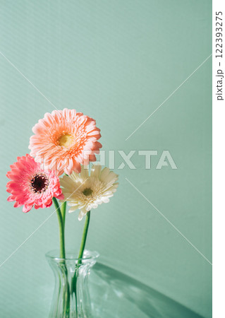 花瓶に生けたピンク、白の三輪挿しのガーベラ 花瓶に生けたピンク、白の三輪挿しのガーベラ 122393275