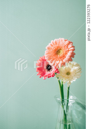 花瓶に生けたピンク、白の三輪挿しのガーベラ 花瓶に生けたピンク、白の三輪挿しのガーベラ 122393276