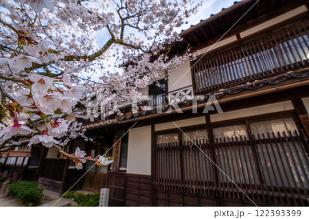 春の新庄宿 満開のがいせん桜43 岡山県真庭郡新庄村 春の新庄宿 満開のがいせん桜43 岡山県真庭郡新庄村 122393399