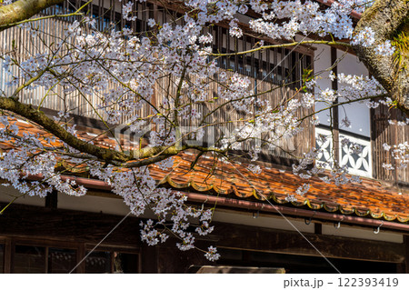 春の新庄宿　満開のがいせん桜27　岡山県真庭郡新庄村 122393419