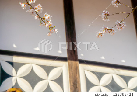 春の新庄宿　満開のがいせん桜と白壁1　岡山県真庭郡新庄村 122393421