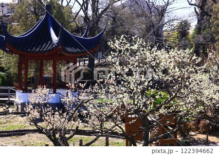 水月公園(大阪府池田市)斎芳亭近く満開の梅 水月公園(大阪府池田市)斎芳亭近く満開の梅 122394662