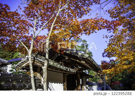 井山般若院 山門 岡山県総社市 井山般若院 山門 岡山県総社市 122395288