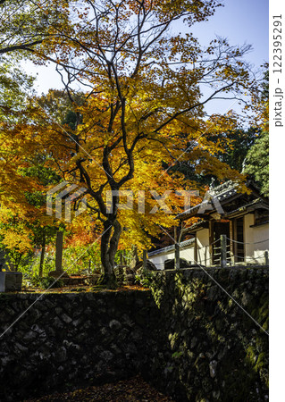 井山般若院 山門 岡山県総社市 井山般若院 山門 岡山県総社市 122395291